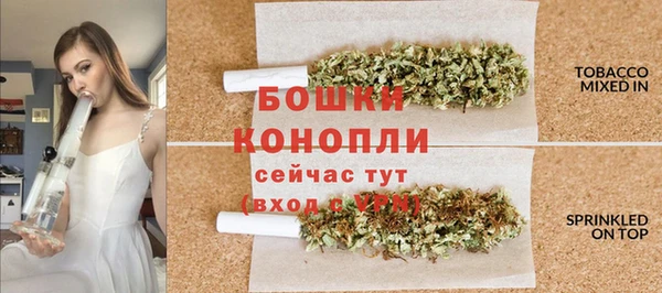 прущая мука Каменногорск