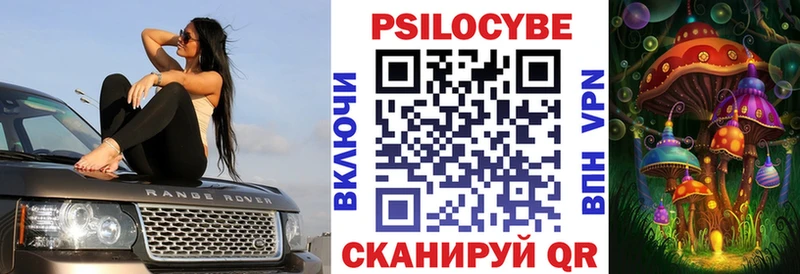 Купить где  Городец  Галлюциногенные грибы Magic Shrooms 